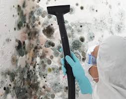 Best Air Quality Testing for Mold Spores  in St Pete Beach, FL